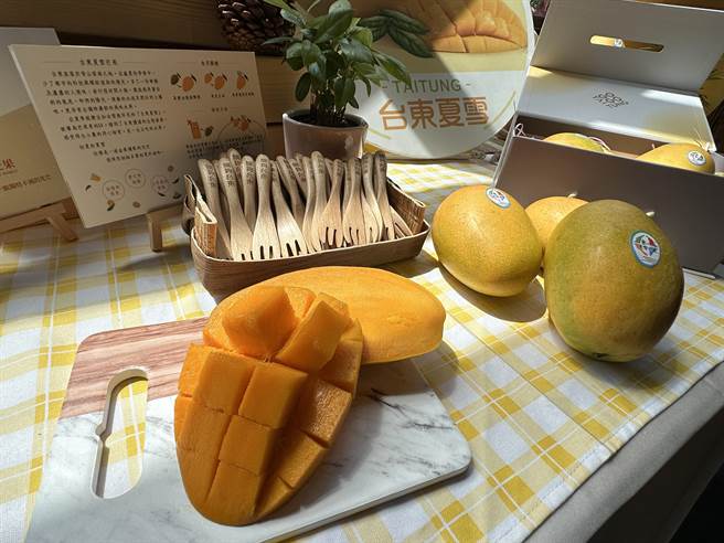 台東夏雪芒果將於6月23日進軍新加坡。（蔡旻妤攝）