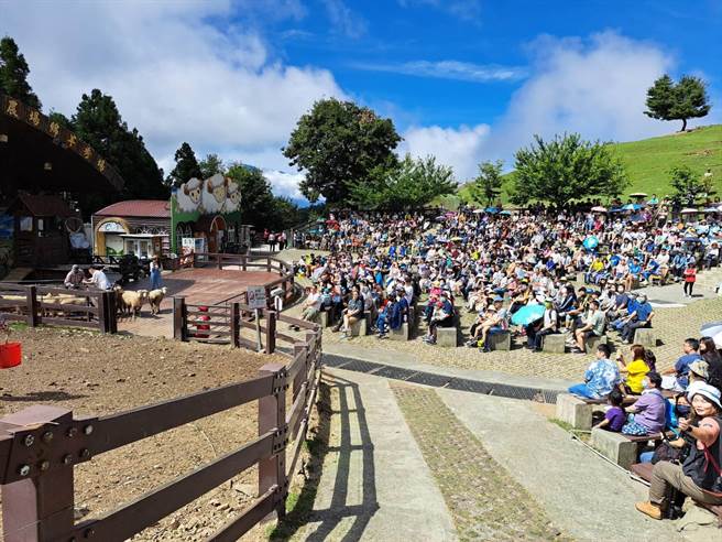 端午节连假首日，清境农场午后涌入观光人潮，约有5800名游客进入农场，周边路况在警察指挥下，交通顺畅。（清境农场提供／潘虹恩南投传真）