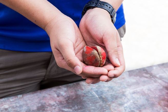 有名妇人带儿子庙里拜拜，没想到掷筊都「盖杯」，想问的问题无法获得解答。（示意图/shutterstock）