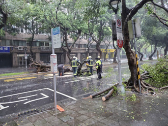 北市強降雨開設災害應變中心 重慶南路20米路樹倒塌