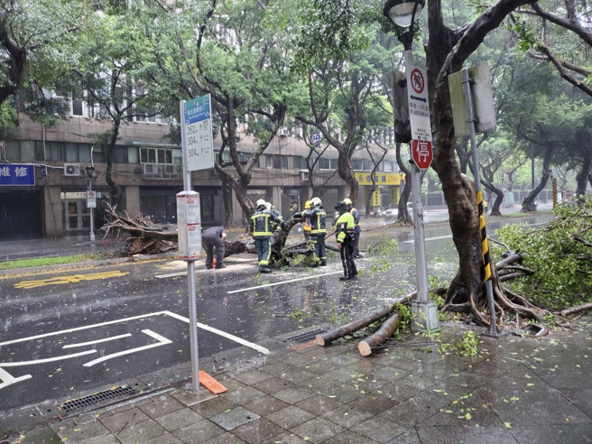 台北市中正区重庆南路三段，1棵路树（直径80公分，树高20公尺）倒塌，目前影响交通，已围起警戒线。（翻摄画面）