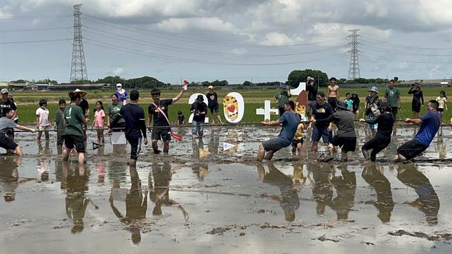 水田拔河比赛每队派4人上场，选手觉得手脚都很不听话。（周丽兰摄）