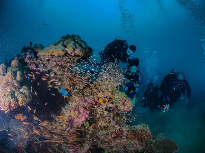 國內「個人潛水教練」無法替學員投保，一旦發生意外，教練與學員皆無法獲得安全保障。民進黨籍立委趙天麟發現此法律漏洞後，多次與保險局、產險公會協調，最終替個人潛水教練投保無門的問題解套。（趙天麟提供／洪浩軒高雄傳真）