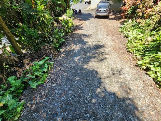 花莲一名20岁无照的全姓男子今驾驶一辆小货车，载着田姓友人返家，行经万荣乡马远村时，不慎辗压躺在路旁树下睡觉的40岁王姓女子，造成女子伤重不治。（民眾提供／罗亦晽花莲传真）