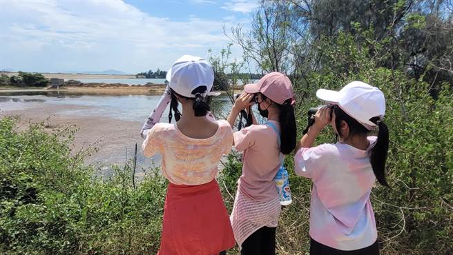 金門慈湖濕地為遷徙性水鳥重要的中繼站，每年都吸引大批鳥友前來賞鳥。(圖／金管處提供)