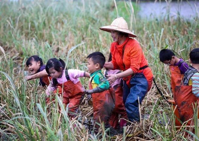 新北市金山地区农友林红甘家族世代务农，有感野生动物生活环境改变，选择加入生态服务计画。（新北市农业局提供）