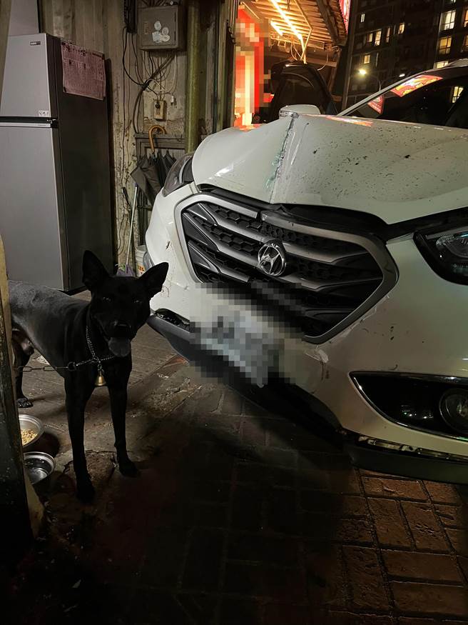 陈男驾车衝撞槟榔摊，图中黑狗即是咬死陈男爱犬的祸首。（警方提供）