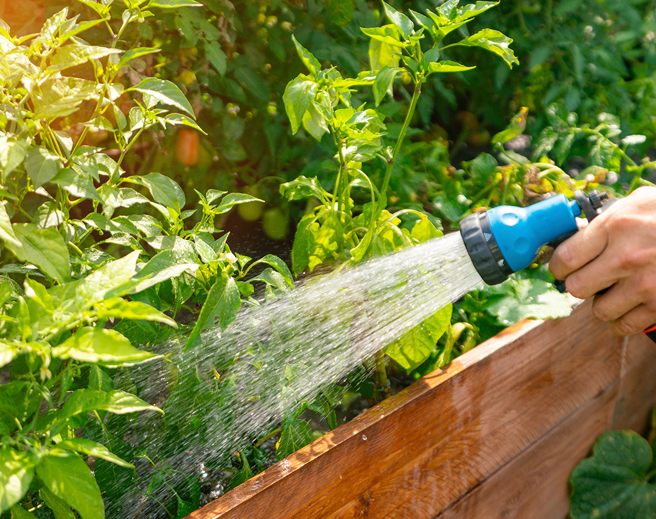 英国男子60多年前在密封玻璃瓶内种植水竹草，如今瓶内早已形成自给自足的生态系统。（示意图／达志影像）