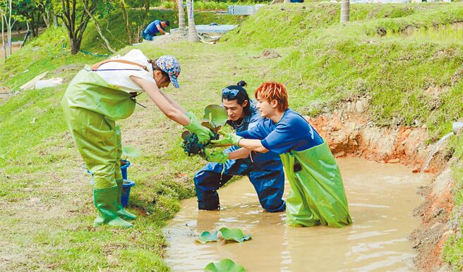 耀乐静待司法炎亚纶疑遭《营业中2》淡化-雨霖铃_词牌名