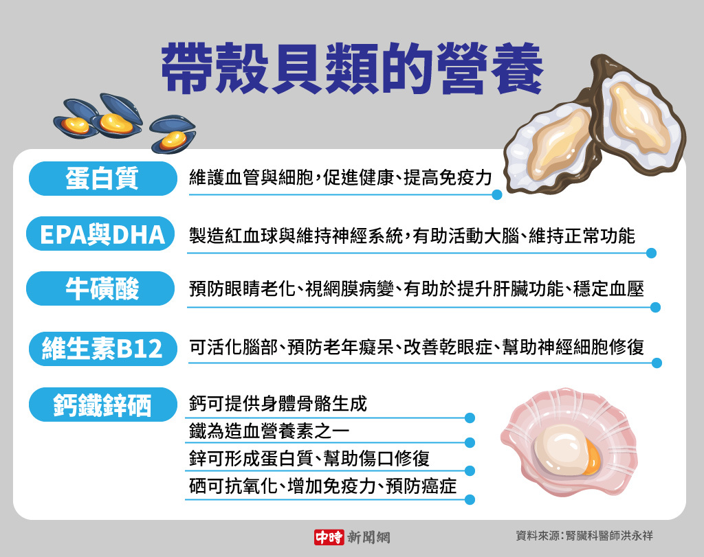 帶殼貝類的營養(製圖/陳友齡)