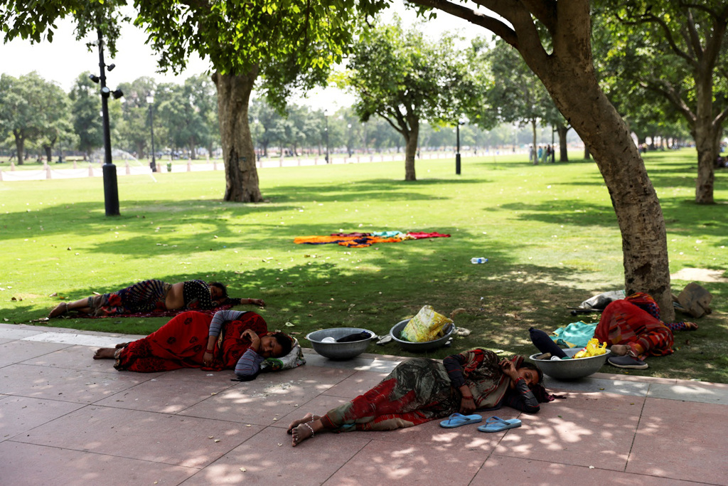 印度热浪让民众直接躺在树下避暑。（图／路透社）(photo:ChinaTimes)