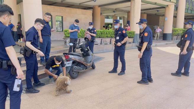 陈男带着爱犬「炸鸡」到新北市府泼漆。（吕健豪摄）