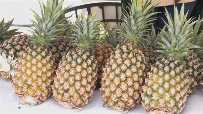 近來降雨不斷，八嗡嗡鳳梨產量減少，想嘗甜頭的民眾，要買要快。（蕭嘉蕙攝）