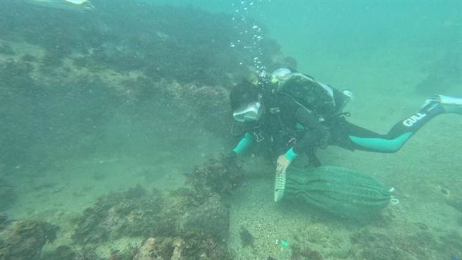 ▲活动共计清理了548.08公斤的海洋废弃物，成果丰硕，也为守护海洋尽一分心力。（基隆市环保局提供／徐佑升基隆传真）