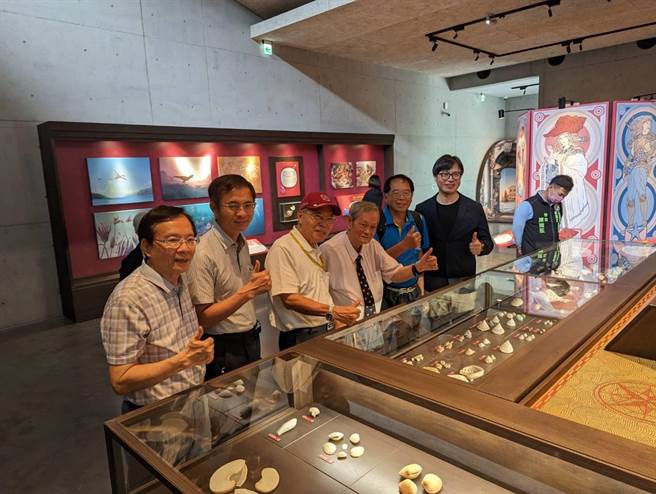 左镇化石园区7月1日起推出「移动的城堡」贝壳特展。(左镇化石园区提供／曹婷婷台南传真)