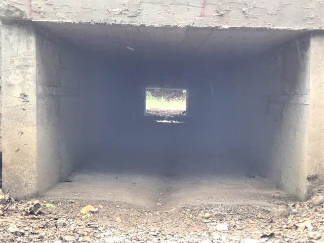 垦管处28日宣布台26线2处「护蟹廊道」将在陆蟹繁殖季前启动试用，并以趋光性的设计降低繁殖失败率。（谢佳潾摄）