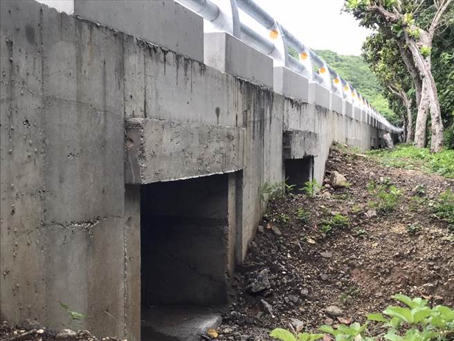 垦管处28日宣布台26线2处「护蟹廊道」将在陆蟹繁殖季前启动试用，并以趋光性的设计降低繁殖失败率。（谢佳潾摄）