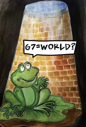 G7=世界？華春瑩推特貼井蛙圖諷刺