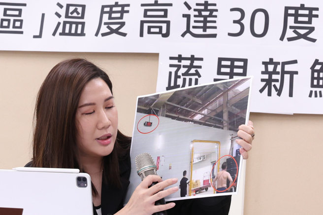 台北市议员柳采葳（见图）29日举行记者会，踢爆北农低温冷炼拢系假，表示去年北农强调，扩增第一及第二批发市场之低温卸货拍卖区，号称能维持蔬果最佳温度在15度至18度，现在不仅卸货员工热到脱上衣搬货，低温卸货区更是始终维持在30度的高温，蔬果新鲜程度令人质疑，要农委会主委陈吉仲好好说清楚。（陈俊吉摄）