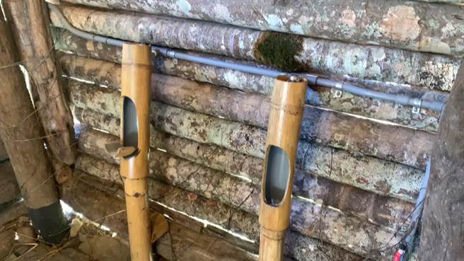 台东上里部落的族人就地取材，利用孟宗竹自制「环保小便斗」。（萧嘉蕙摄）