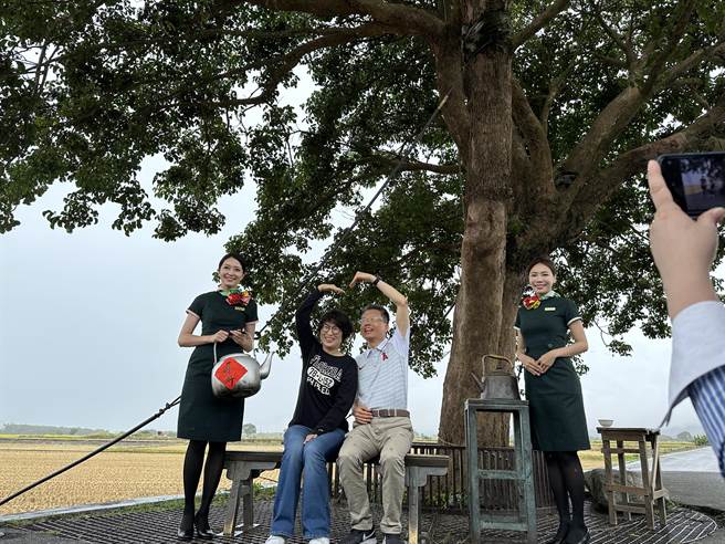 长荣航空认养台东池上奉茶树10周年。（蔡旻妤摄）