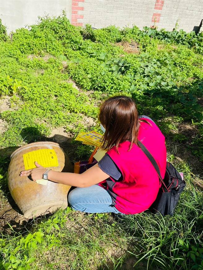 頭份市衛生所人員清理菜園內積水容器，並貼上警語貼紙提醒菜農。（頭份市衛生所提供／謝明俊苗栗傳真）