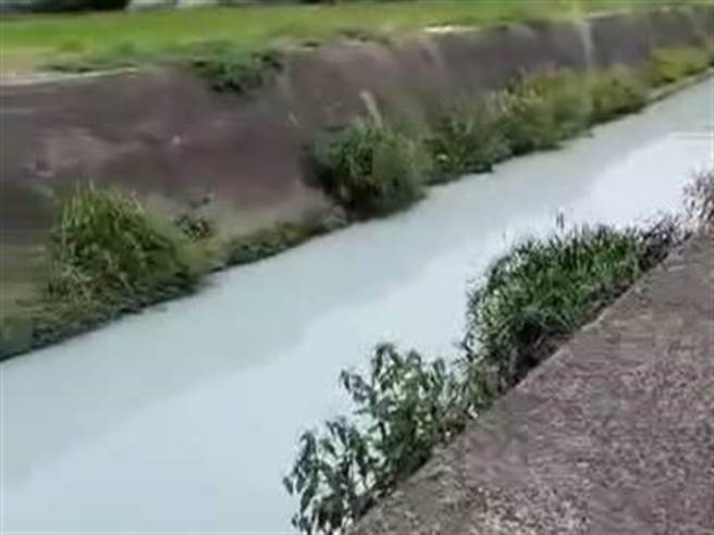 台中市大里區中興大排28日被發現疑遭人排放廢水，整條水色乳白有如「牛奶河」。（圖截自影片／潘虹恩台中傳真）