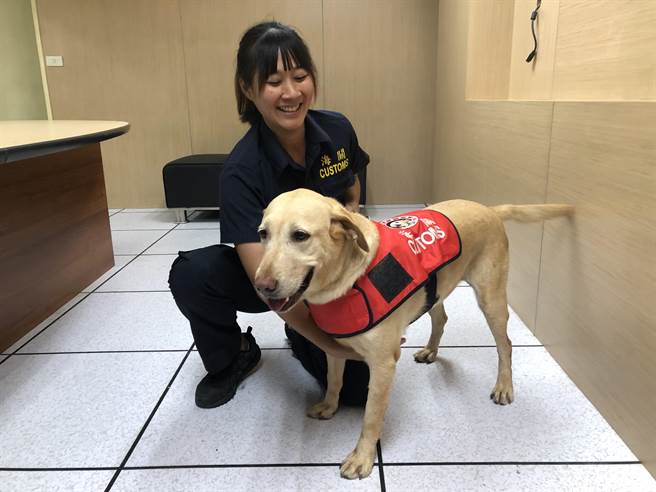 缉毒犬Hollie(图／吴静君摄)