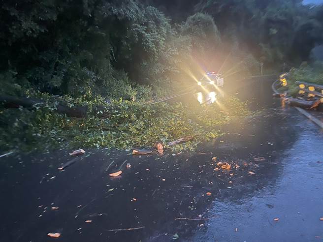 警方于昨天晚间6时，巡经台20线100公里处，发现1棵老树连根拔起，树木横跨车道，险象环生。（高雄市警方提供／林雅惠传真）