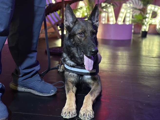 高雄市6月30日晚间执行第1波的青春专案。（杨舒婷摄）