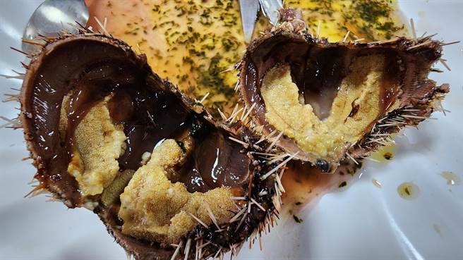 人工养殖的马粪海胆剖开后，可见生殖腺饱满。（许逸民摄）