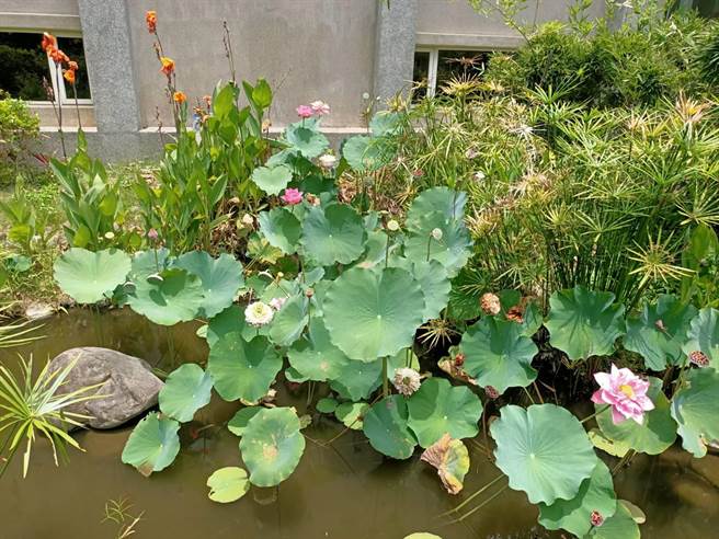 苗栗特色馆优质小旅行欢迎游客利用暑假来此一游。（苗栗县政府提供／谢明俊苗栗传真）