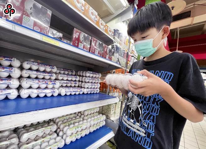 農委會副主委陳駿季表示，7月起進口的雞蛋將維持在1000萬顆以下供調度之用。（報系資料照）