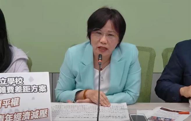 民进党立法院党团干事长刘世芳。（摘自民进党团直播）