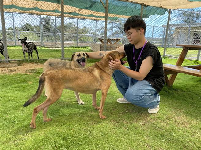 就讀政治系的莊炅頤，錄取動物保護及防疫所工讀機會。（新竹市政府提供／陳育賢新竹傳真）