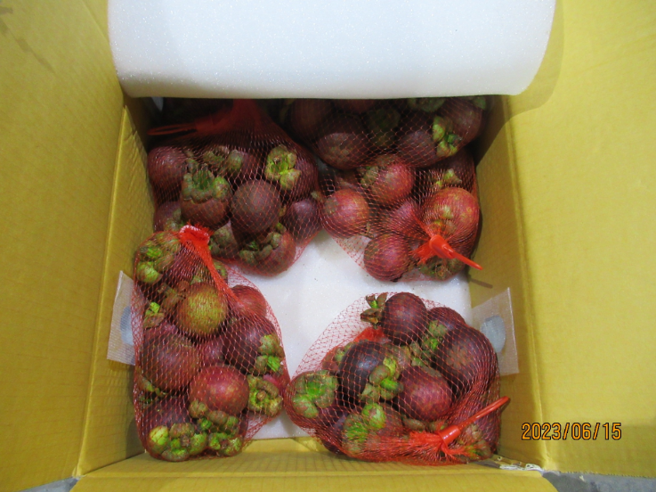 泰國山竹連2週出包，農藥違規1856公斤退運銷毀。（圖／食藥署提供）