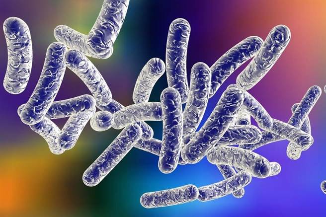 欧洲疾病预防管制中心发布的最新统计数据显示，欧盟和欧洲经济区国家2021年平均每10万人口中有2.4人罹患退伍军人病。（Shutterstock）