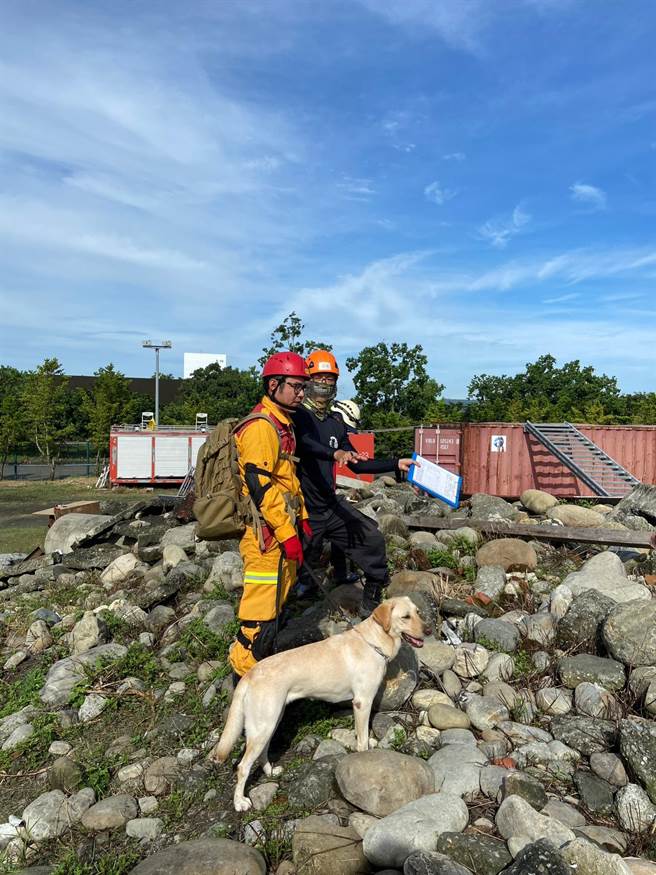花蓮縣消防局目前有3隻搜救犬Fancy、Hero跟Wilson，其中Fancy跟Hero日前已取得消防署IRO國際評量檢測A級（中級）認證，成為正式搜救犬加入救災行列，將持續朝B級（高級）搜救犬邁進。（花蓮縣消防局提供／羅亦晽花蓮傳真）