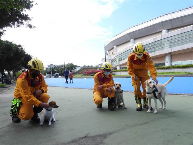 花蓮縣消防局目前有3隻搜救犬Fancy、Hero跟Wilson，其中Fancy跟Hero為大型犬拉布拉多，Wilson則是小型犬傑克羅素。（羅亦晽攝）