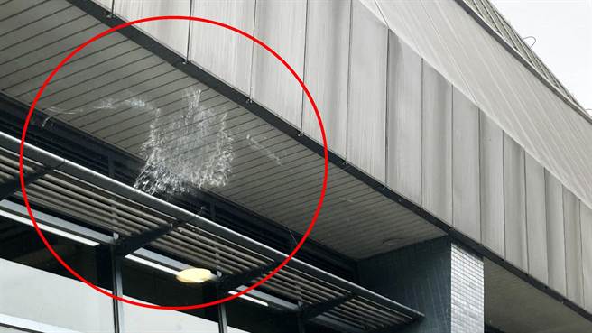 现代化大楼大量採用玻璃帷幕，经常造成高速飞行下的飞禽猛烈撞击被「窗杀」。（颖艾达利提供／洪荣志台南传真）