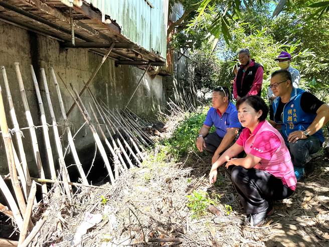 潭子區嘉仁里東汴幹線二小組農排水路土堤殘破不堪，影響排洪功能造成農作損害，立委楊瓊瓔4日會勘。（陳淑娥攝）
