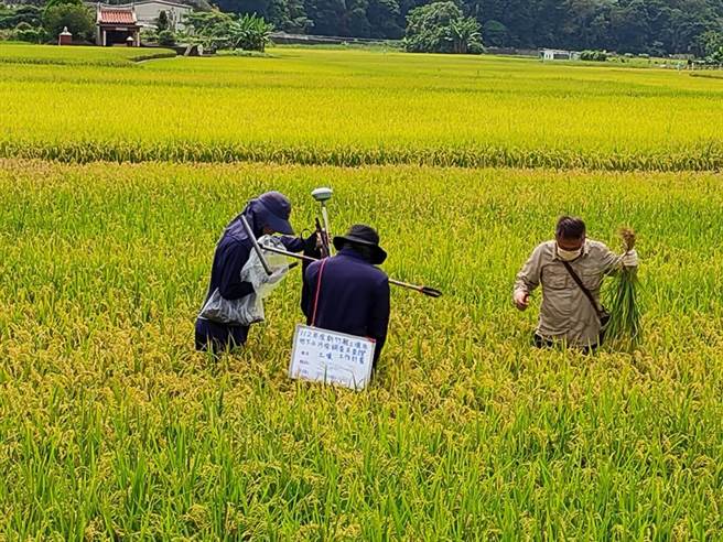 關西鎮日前發生水源遭汙染事件，讓鳳山溪流域兩岸的農民心慌慌，新竹縣府農業處在上月底派員採樣檢測。（新竹縣府提供／邱立雅竹縣傳真）