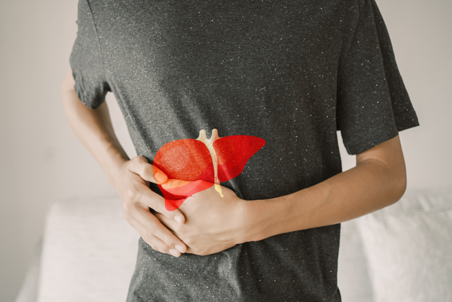 脂肪肝容易轉成肝炎、肝纖維化，甚至是肝硬化、肝癌，不可不慎。（示意圖／Shutterstock）