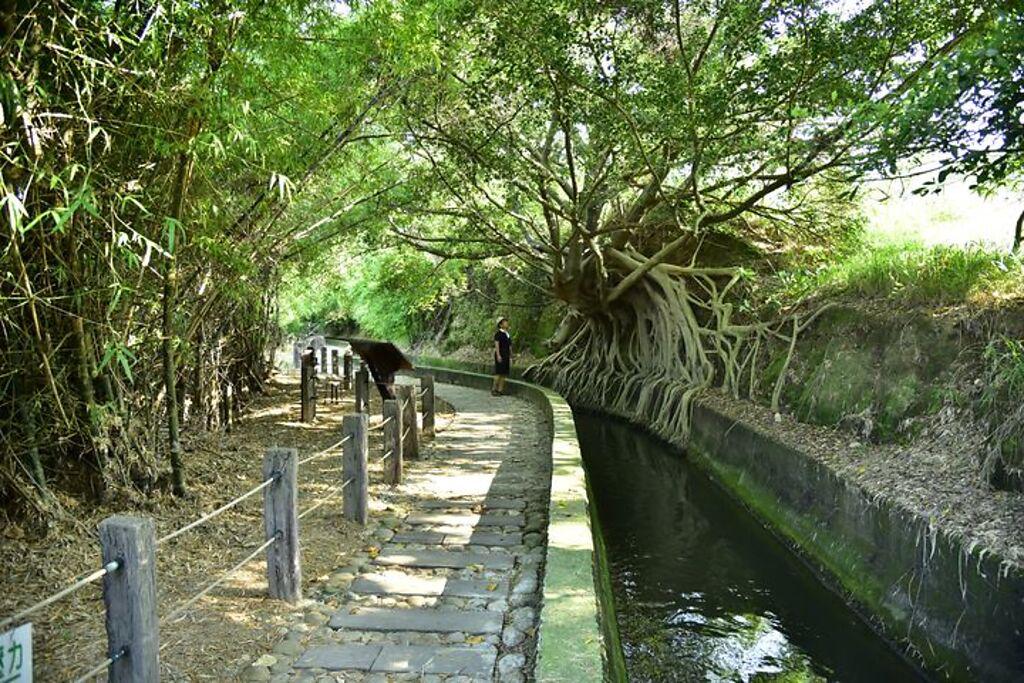 台中屯區有許多設施完善的步道，都可享受森林浴的清新。（圖／台中市政府觀光旅遊局）