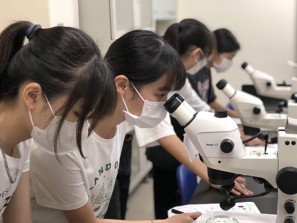 活動參訪海科系特聘教授陳孟仙實驗室，操作光學解剖顯微鏡。（翻攝照片／高雄洪靖宜傳真）