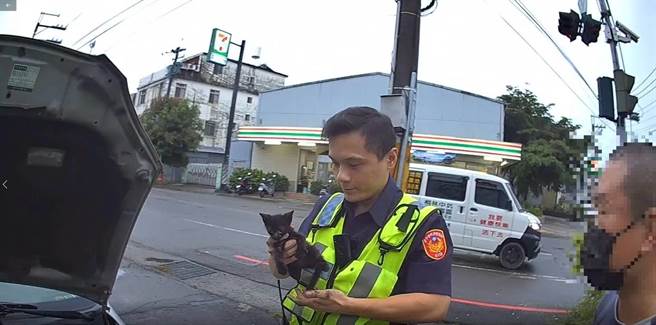 仁化派出所警方将2个月大奶猫从汽车引擎室救出。（警方提供／陈淑娥台中传真）