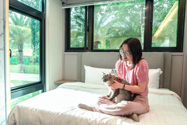 房客也可带爱猫入住「GO帝宝」。（日晖国际渡假村提供）