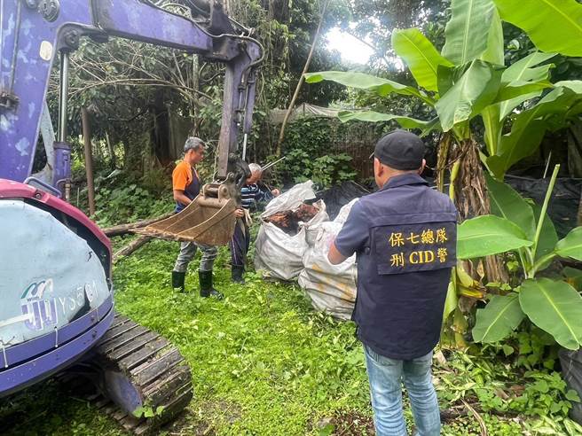 高雄某生技公司业者勾结以许姓男子为首的山老鼠不法集团，透过窃取牛樟木贩售牟暴利。（保七总队提供／谢佳潾屏东传真）