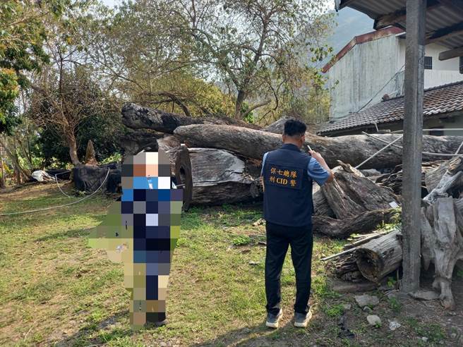 高雄某生技公司业者勾结以许姓男子为首的山老鼠不法集团，透过窃取牛樟木贩售牟暴利。（保七总队提供／谢佳潾屏东传真）