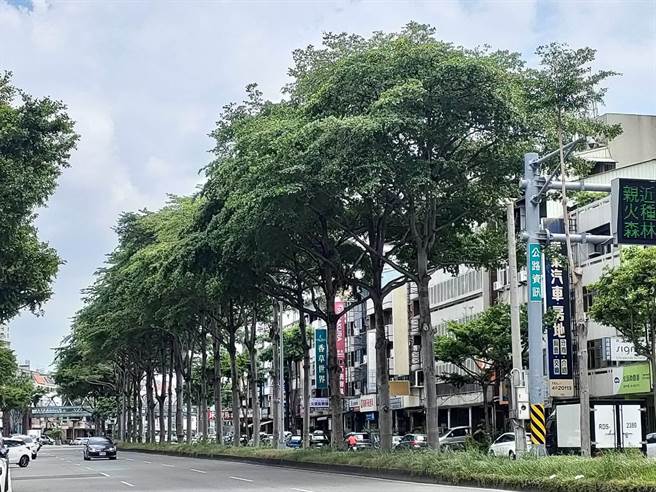 年約63歲男性工人6日上午8點17分左右於台中市大肚區興和路修剪樹木時，疑遭到高壓電電擊，當場失去生命跡象，送醫搶救中。（示意圖／潘虹恩攝）